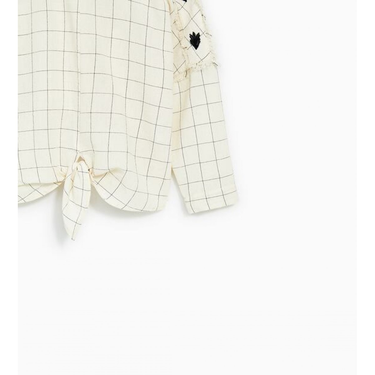 Zara Window Pane Check Shirt With Embroideries 