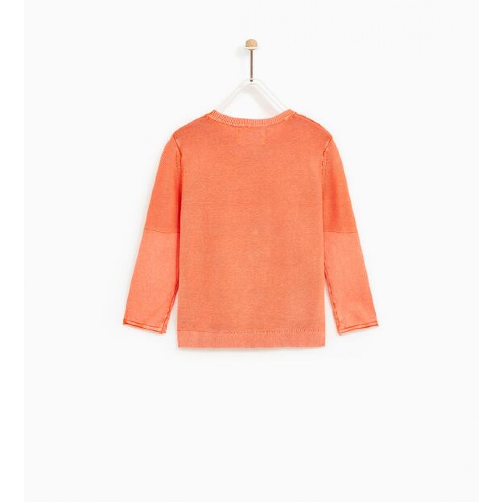 Zara Sweater With Rubberised Print