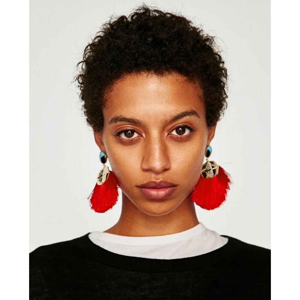 Zara Frontal Hoop Earrings With Rhinestones